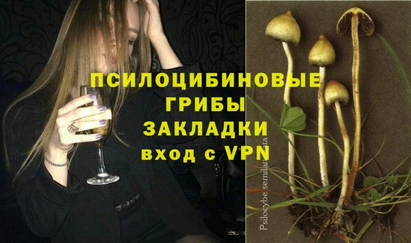 крисы Белоозёрский