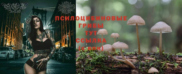 мдпв Беломорск